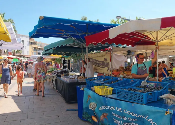 L'occitane By Interhome Vila Agde